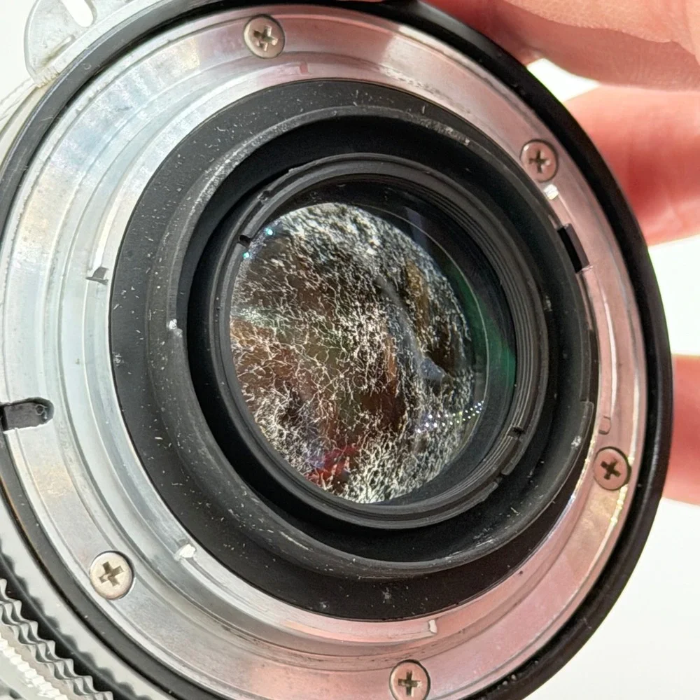 Nikon Nikkor 50mm 1:2 Manual Focus Lens F-Mount Vintage Japan 3236878 FUNGUS
